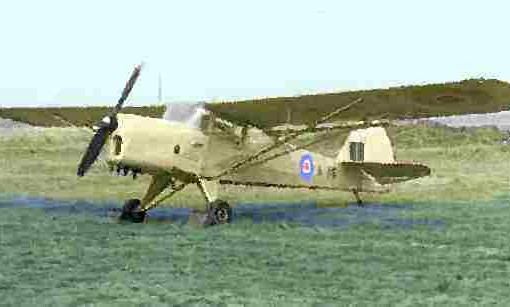 auster_5aaa
