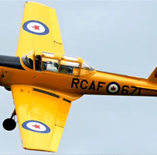 chipmunk_photo2