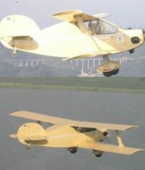 guppy_photo_0