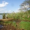 pirogue-plans